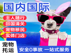 唐山三女河航空快递国际宠物托运 【国